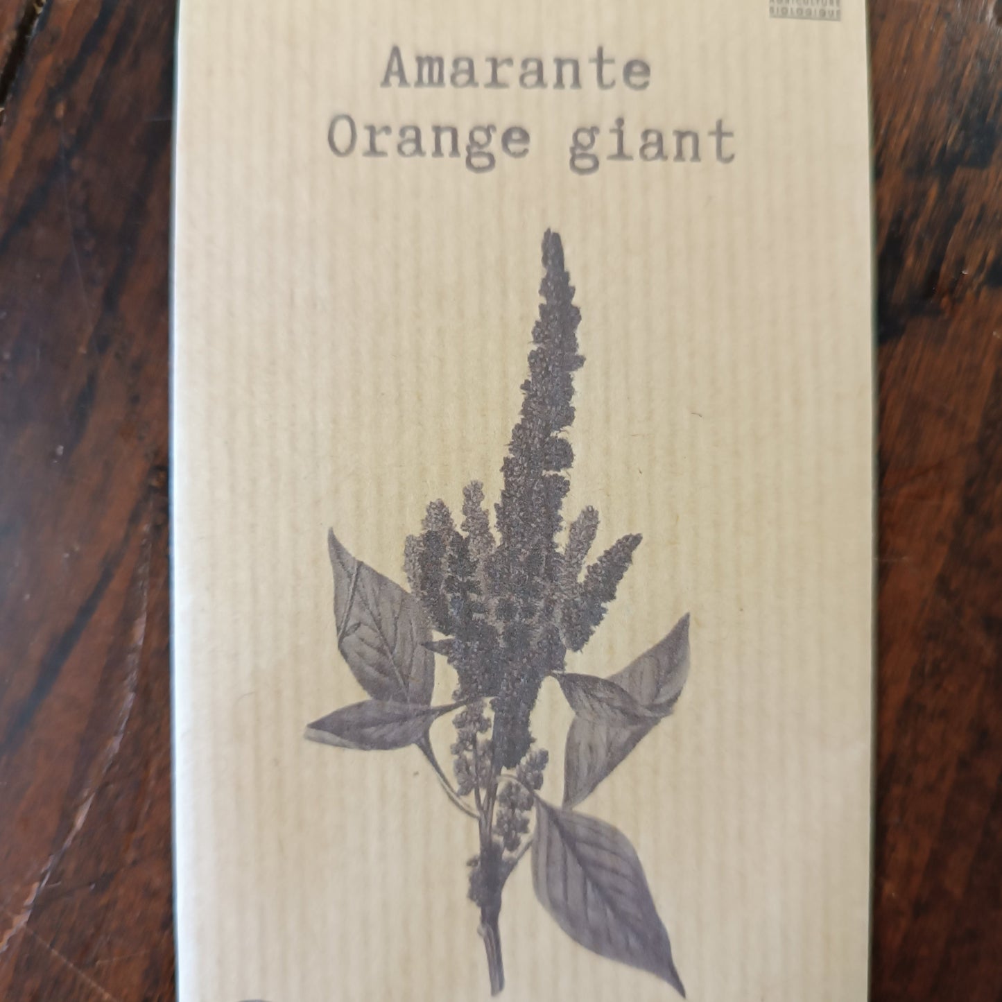 Amarante Orange Giant