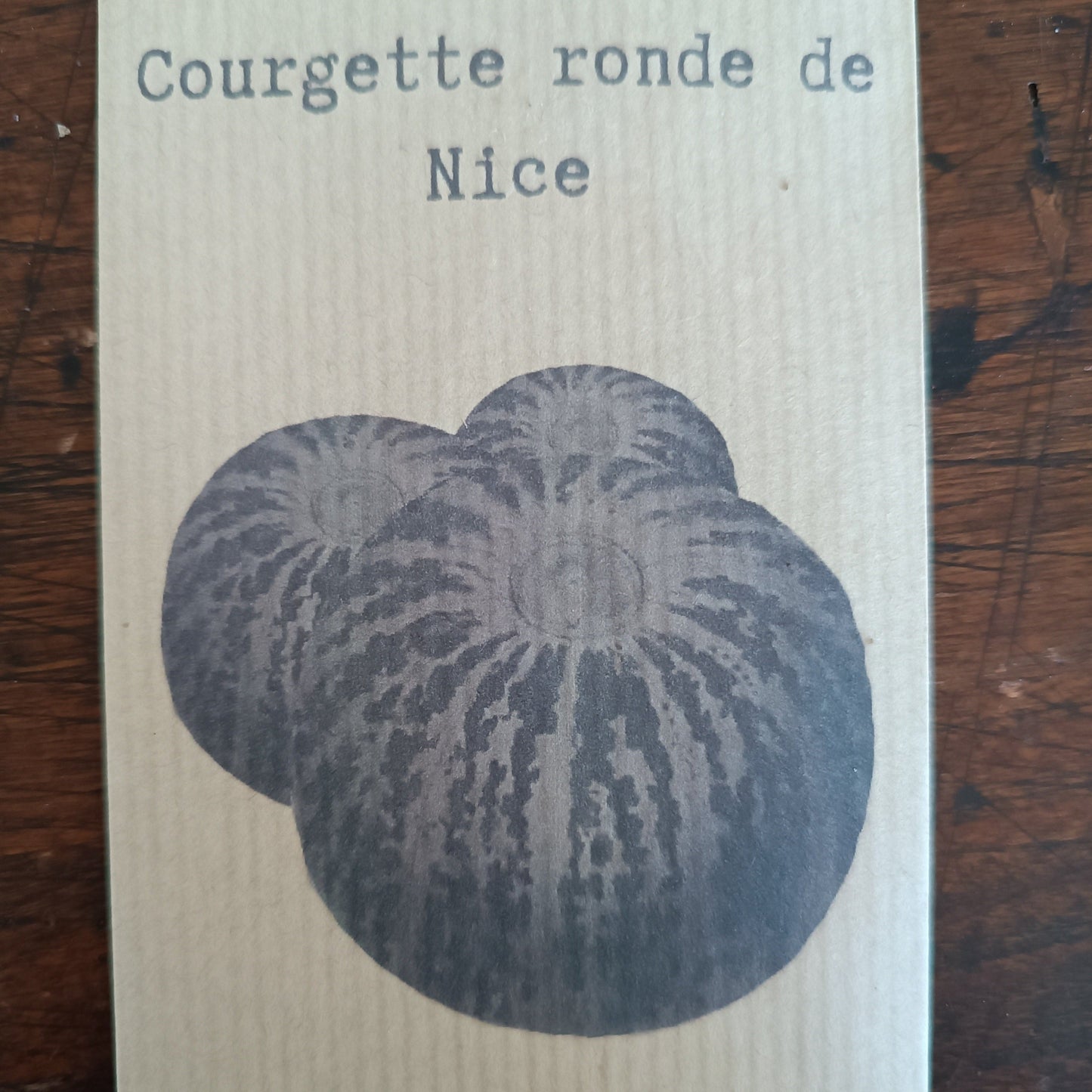 Courgette ronde de Nice