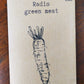 Radis green meat