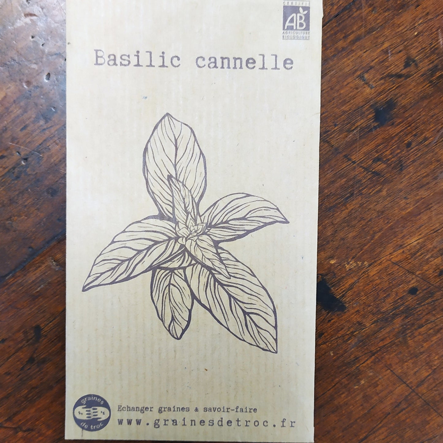 Basilic cannelle