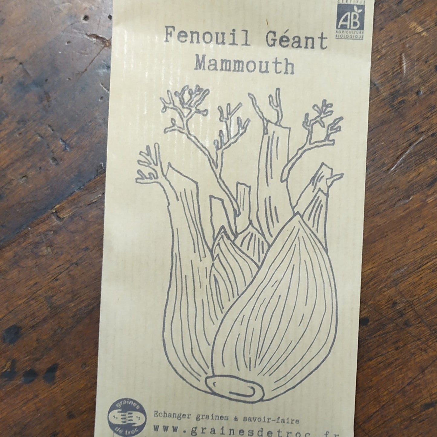 Fenouil Géant Mammouth