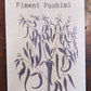 Piment Fushimi