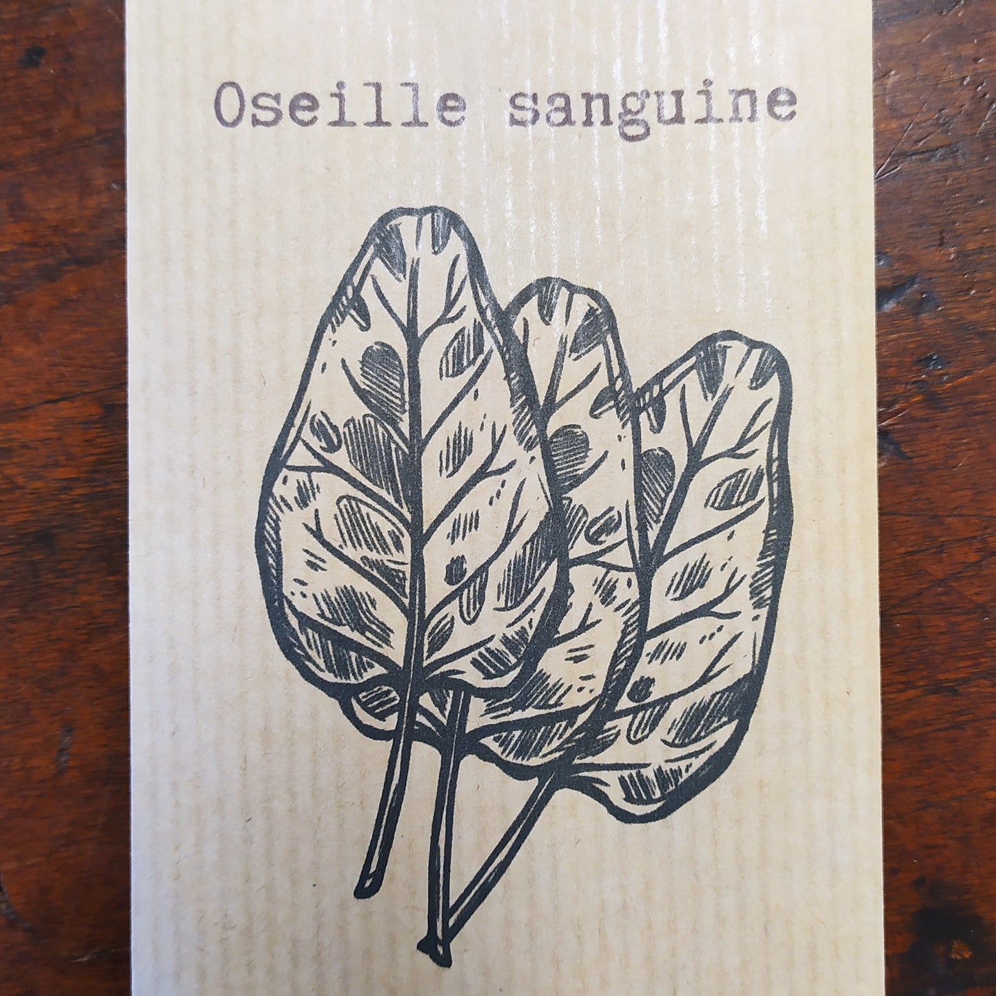 Oseille sanguine