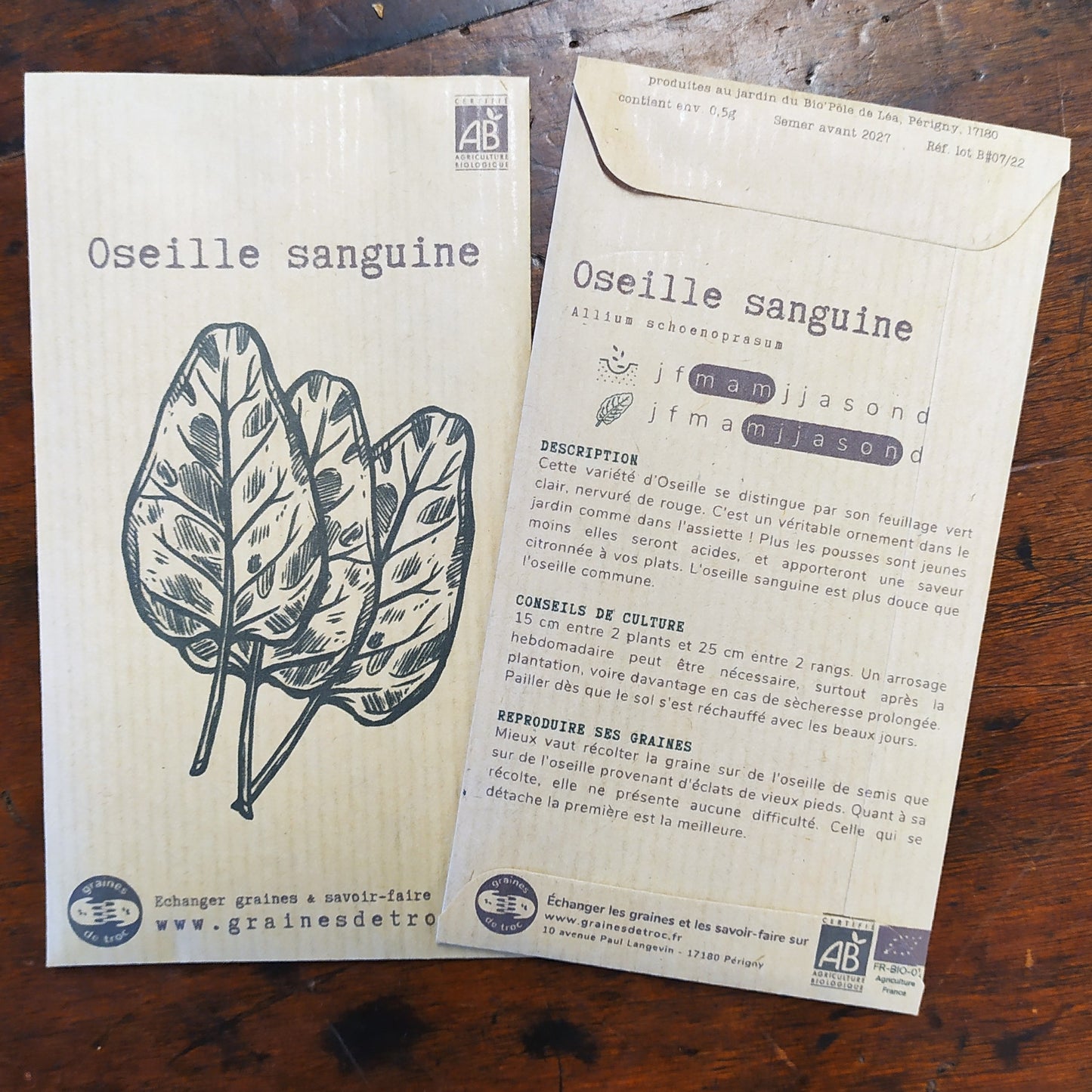 Oseille sanguine