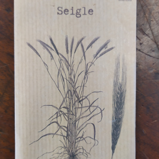 Seigle