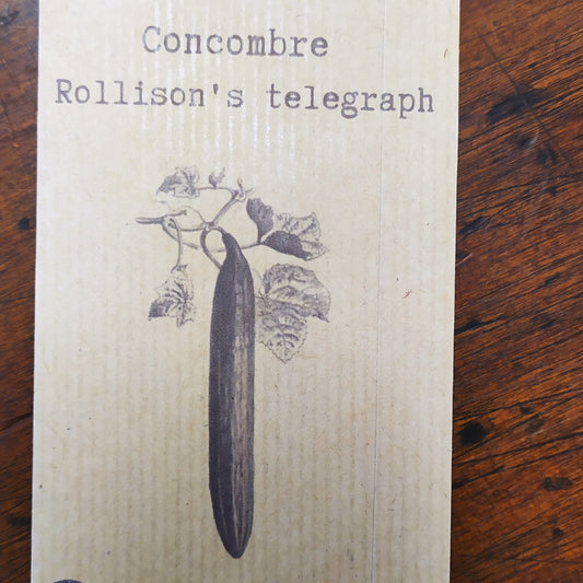 Concombre Rollison's telegraph