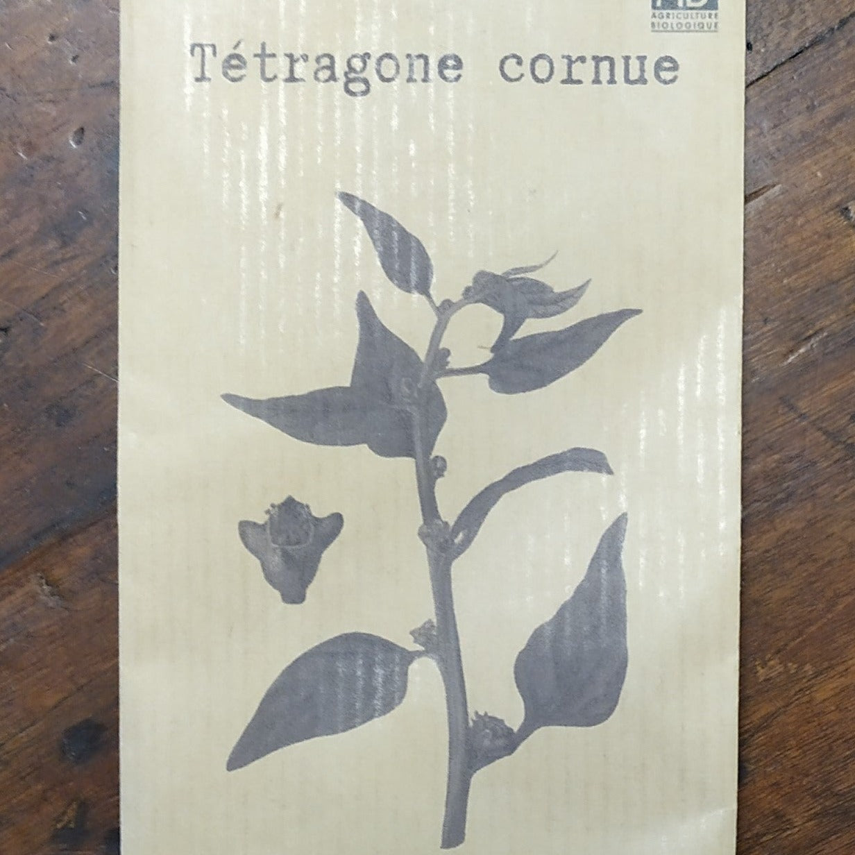 Tetragone cornue