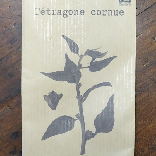 Tetragone cornue